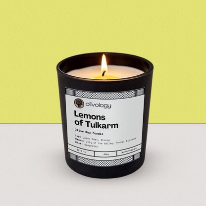 Lemons of Tulkarm — Candle