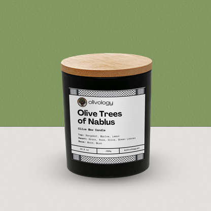 Olive Trees of Nablus — Candle