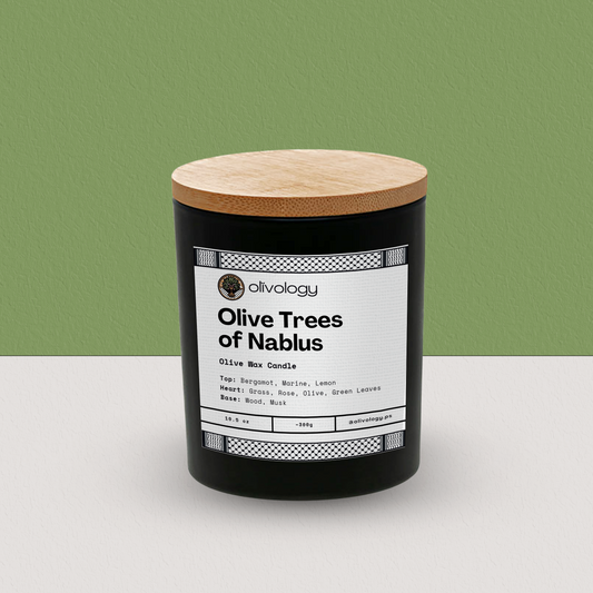 Olive Trees of Nablus — Candle