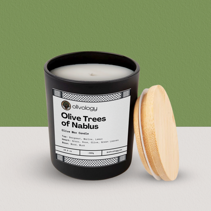 Olive Trees of Nablus — Candle