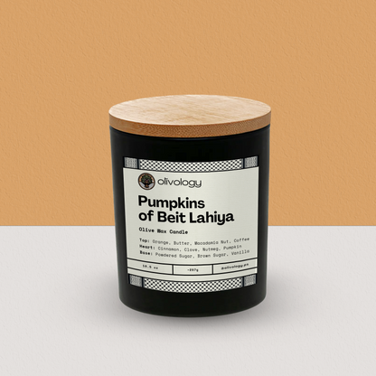 Pumpkins of Beit Lahiya — Candle