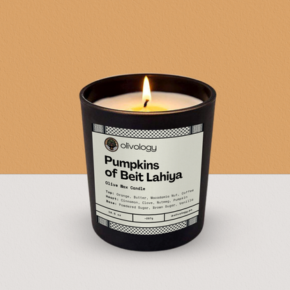 Pumpkins of Beit Lahiya — Candle