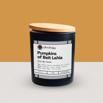 Pumpkins of Beit Lahia — Candle