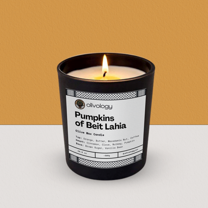 Pumpkins of Beit Lahia — Candle